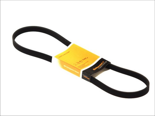 Ribbed belt fits - belt, alfa