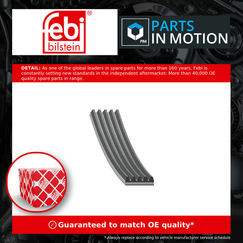 Rib multi drive - drive, belt