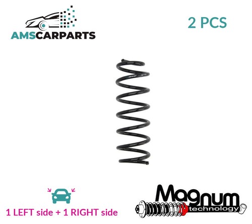 Coil spring pair set rear - spring,