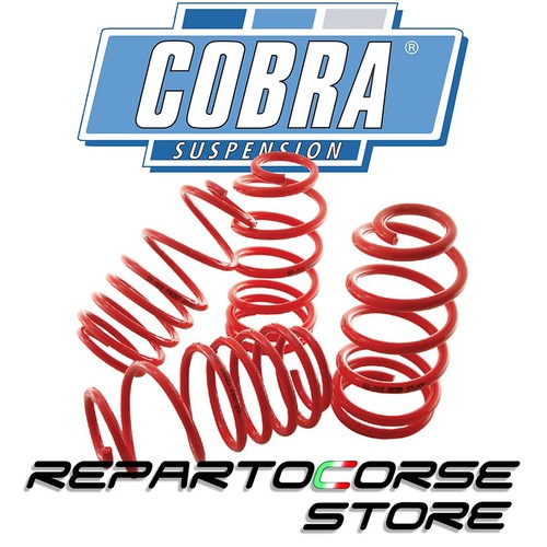 Cobra lowering springs - cobra,