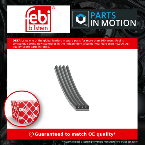 Rib multi drive - belt, fits